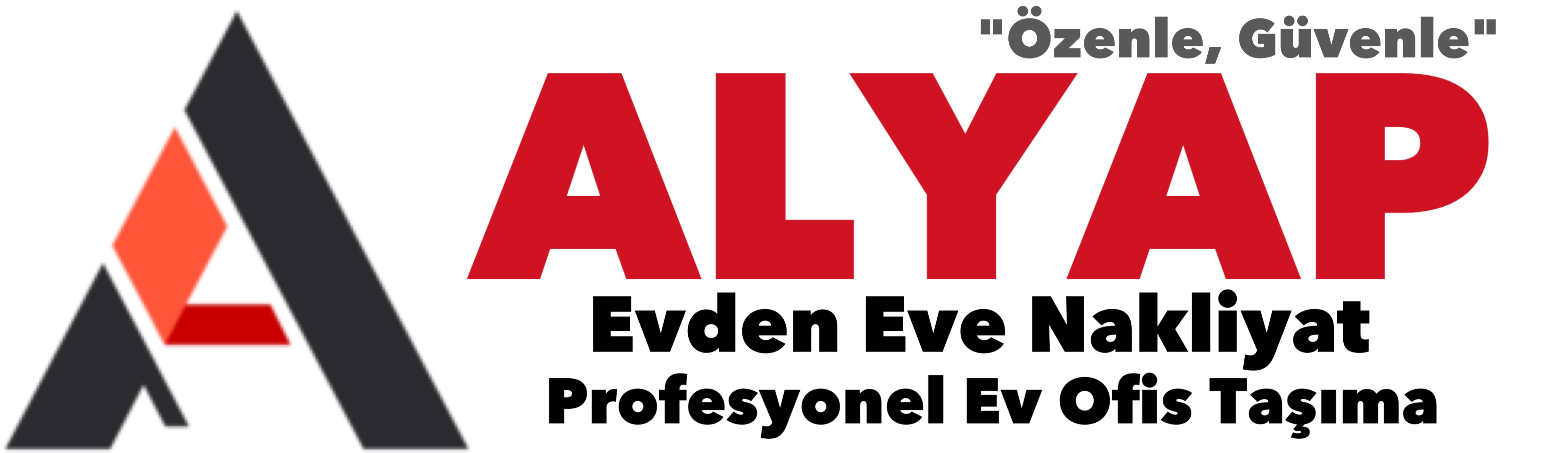 İstanbul'un Lider Firması Alyap Nakliyat